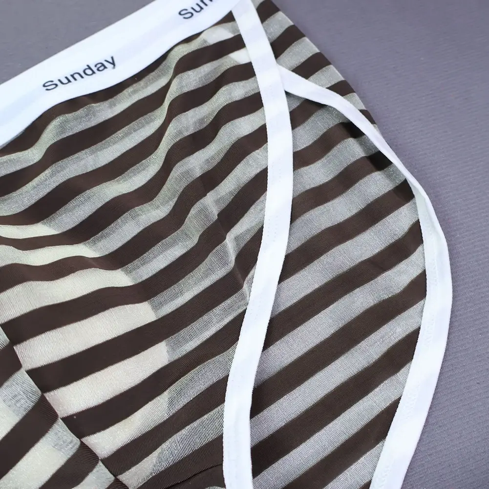 Men Casual Transparent Striped Mesh Briefs Side Fork Panties Shorts Breathable Pouch Man Comfortable Home Underwear — image 20