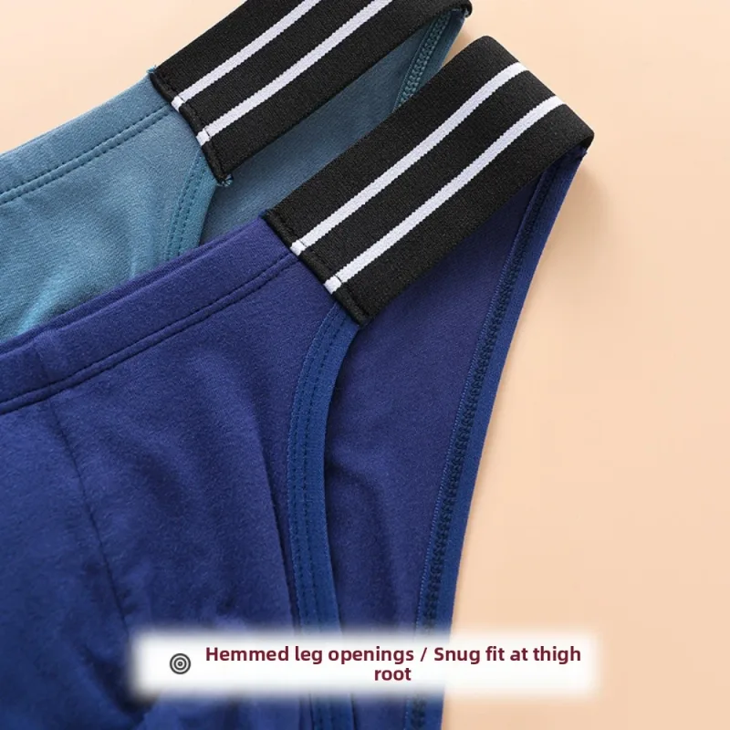 Onderbroeken Lingerie Heren Driehoek Slipje Streep Ademend Mannen Dunne Slips Midden Taille Grote Maat Ondergoed voor Mannen Geschenken — image 13