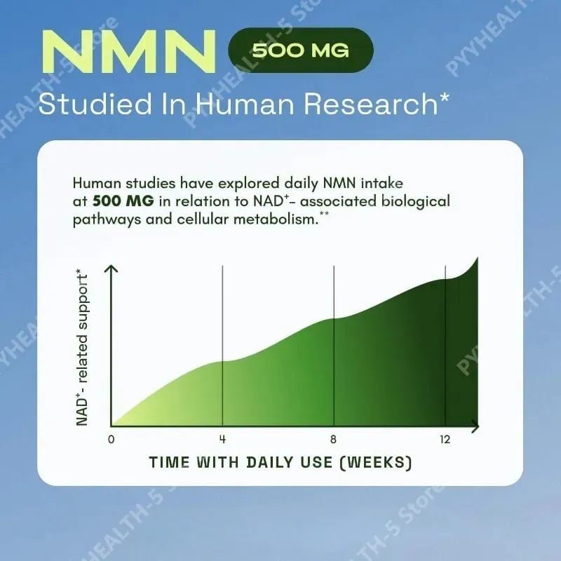Komplexní doplněk NMN 1000 mg porce TMG Quercetin Resveratrol Kapsle Buněčný wellness doplněk podporuje energii — image 4