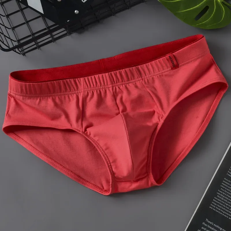 Slip da uomo Slip in cotone tinta unita per giovani Vita comoda e sexy Tendenza esplosione Biancheria intima traspirante Sissy Mutandine — image 6