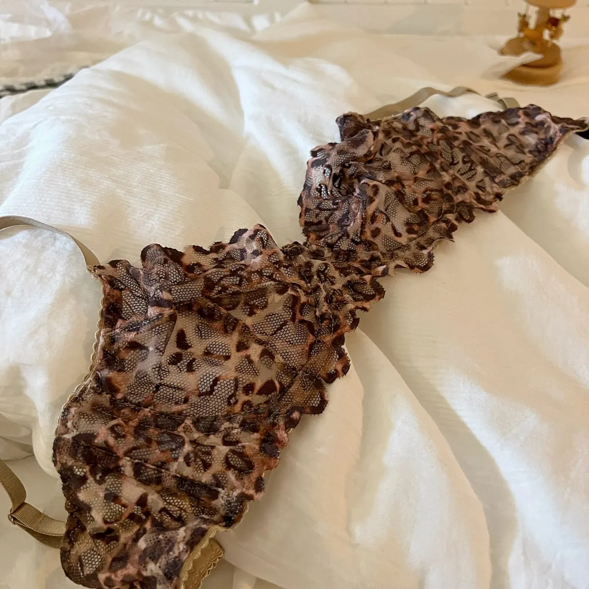 French Sexy Underwear Thin Leopard Print Transparent Lingerie Comfortable Women's Gathered Underwire see through bra Set Thong — image 3