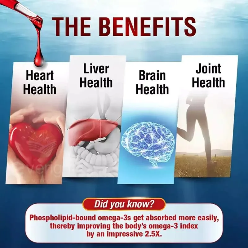 Aceite de Krill - Complejo de fosfolípidos omega-3 con astaxantina - Apoya la gestión de lípidos Metabolismo Salud cerebral y cardíaca - EPA DHA — image 4