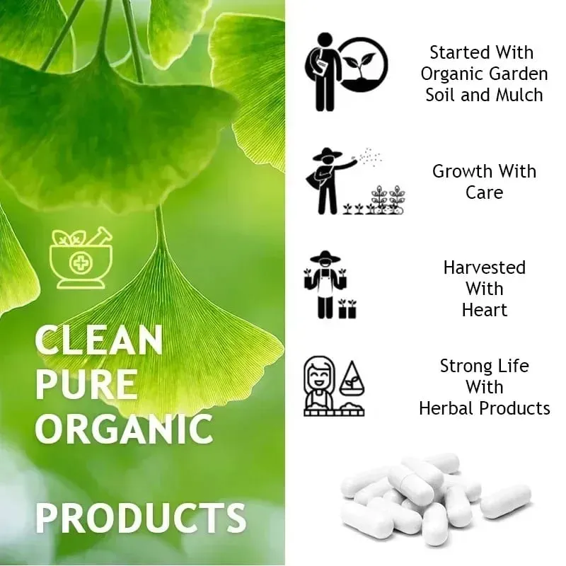 Ginkgo Biloba 5000 mg Extra Fuerte - Apoya la función cerebral y el enfoque de la memoria Alivio del estrés 120 cápsulas vegetales — image 5