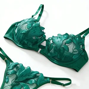 Sexy Lingerie Woman Lace Transparent Underwear Embroidery Brief Set female Bra Kit Push Up Breves Sets Thin Bras New Bragas