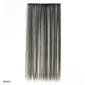 1BH613