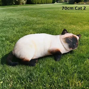 70cm Cat 2
