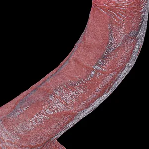 Makatotohanang Anal New Dildo Buttplug Prostate Massager na may Suction Cup Penis para sa Mga Nagsisimulang Sex Toy para sa Babae Anal Vaginal Masturba