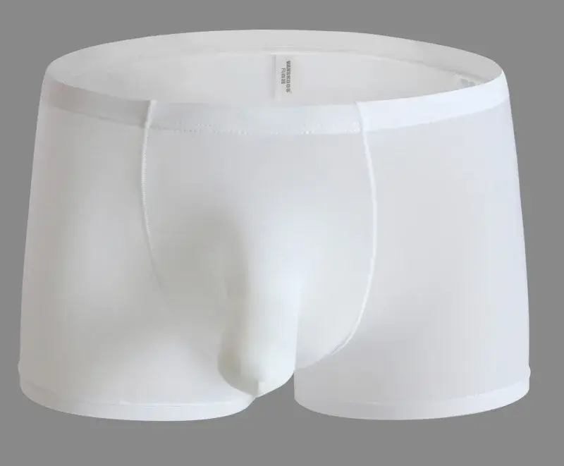 Sexy Elephant Nose Boxers Men's Transparent Bulge Penis Pouch Gay Underwear Men Ultra-thin Ice Silk Panties Fetish Boxershorts