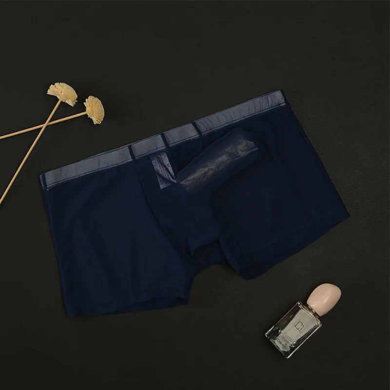Sexy Men Mesh Transparent Lightweight Underwear See Through Breathable Boxer Briefs Panties Bullet Separation Male Boxer Panties